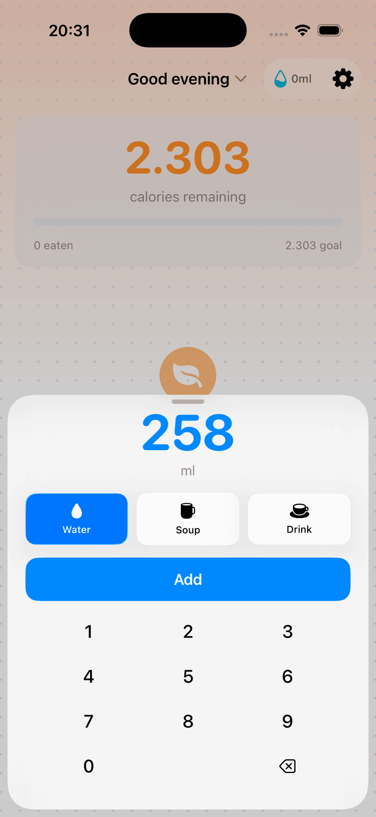 Bento Bunny water and hydration tracking screen