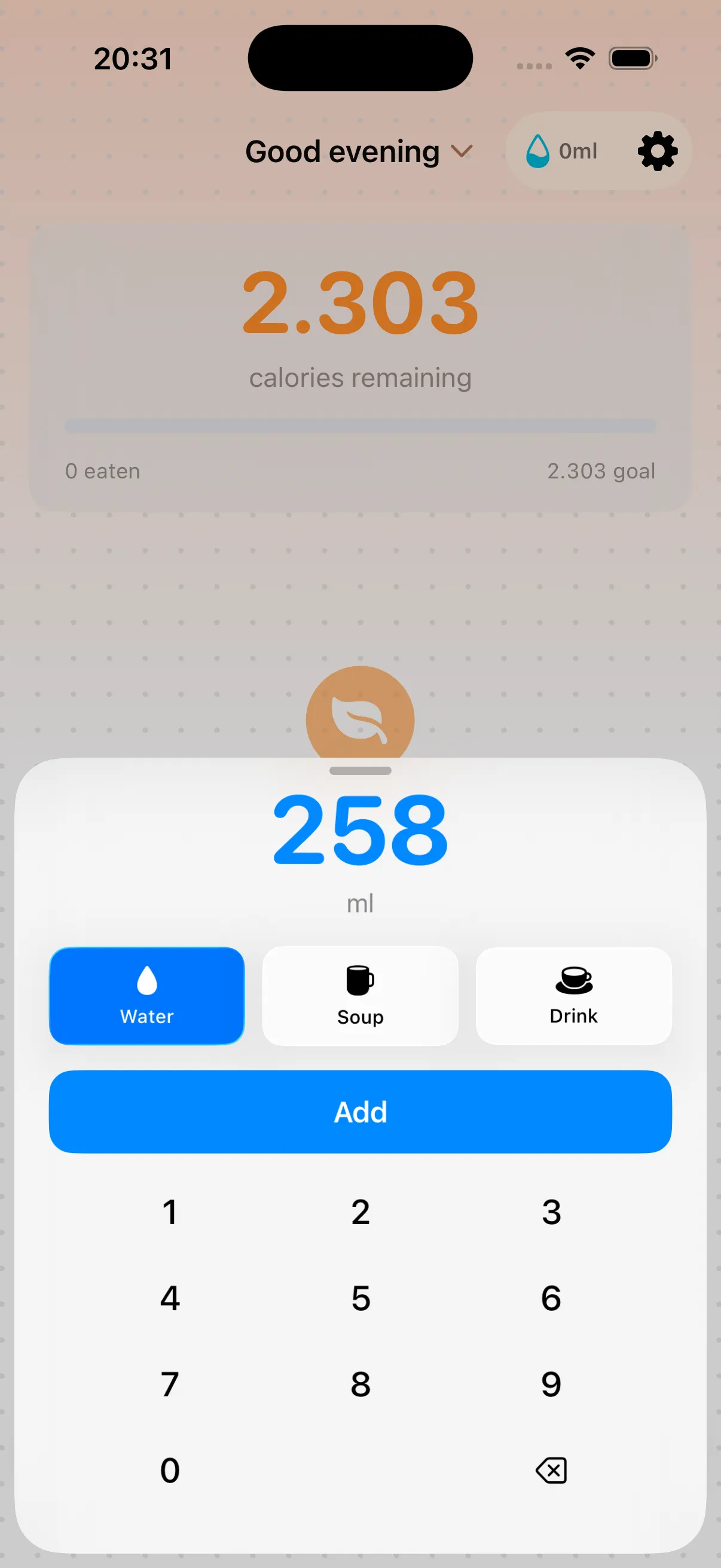 Bento Bunny water and hydration tracking screen