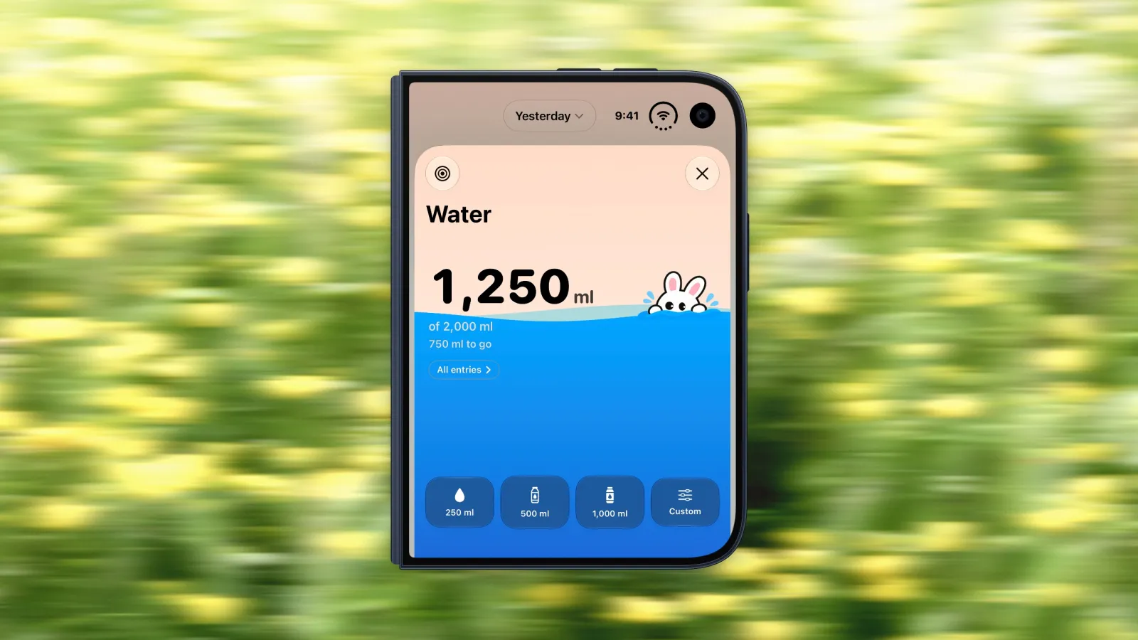 Bento Bunny's water tracker on a closed iPhone Duo, showing 1,250 ml of a 2,000 ml goal with buttons for 250 ml, 500 ml, 1,000 ml and a custom amount